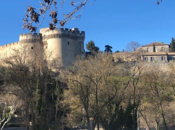 Trail Walking Villeneuve-lès-Avignon - R.S. La plaine de l’Abbaye à VLA - Photo