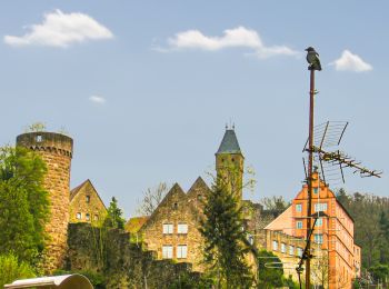 Tour Zu Fuß Hirschhorn - Rundwanderweg Hirschhorn 5: Grein-Weg - Photo