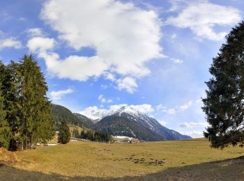 Tour Zu Fuß Gsies - Almweg 2000 - Photo