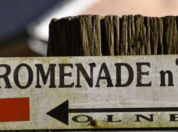 Trail Walking Olne - Les grès de Vaux: Olne Vaux-sous-Olne Froidbermont - Photo