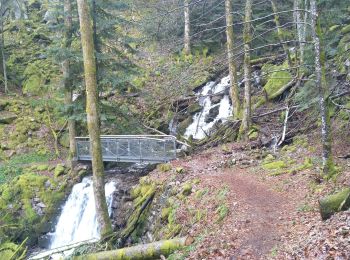 Trail Walking Kruth - kruth - Photo