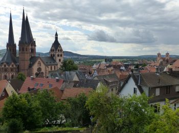 Trail On foot Gelnhausen - Kulturweg Gelnhausen 4 - Photo