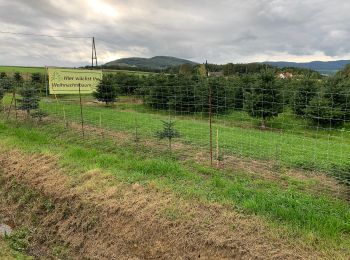 Tour Zu Fuß Grafendorf bei Hartberg - Hartberg Eggendorf Grafendorf - Photo