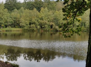 Trail Walking Saint-Georges-de-Rouelley - La fosse Arthour - Photo