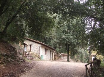 Trail On foot Perugia - Colognola- San Giovanni Pantano - Photo