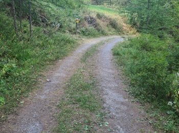 Trail Walking Saint-Paul-sur-Ubaye - le tour de tournoux  - Photo