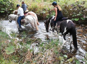 Trail Horseback riding Plainfaing - Acpl plainfaing le groube  - Photo
