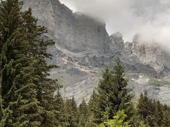 Trail Walking Servoz - lac vert 2021 - Photo