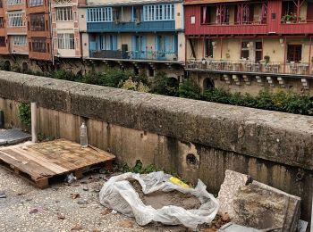 Randonnée Marche Lasfaillades - 13) Bouisset à Castres - Photo