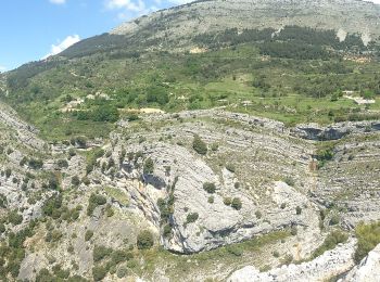 Randonnée A pied Escragnolles - Plateau de Briasq - Photo