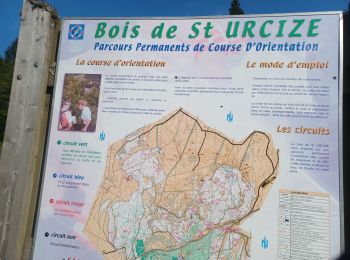 Tour Wandern Saint-Urcize - AVEYRON . S URCIZE . CASCADE DE JIOU JIOU O  - Photo