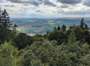 Tocht Te voet Marktrodach - FrankenwaldSteigla Muschelkalkweg - Photo