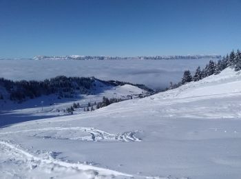 Excursión Esquí de fondo Allevard - tricotage crête des Plagnes - Photo