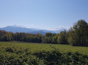 Tocht Noords wandelen Échirolles - La Frange Verte 10 km - Photo