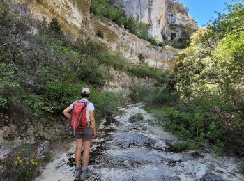 Randonnée A pied Gordes - les gorges de la Véroncle - Photo