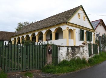 Excursión A pie Pécs - P▲ Patacs – Panoráma út – Babásszerkövek - Photo