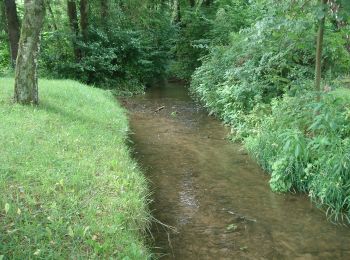 Trail On foot Lohr am Main - Ortswanderweg Lohr 2 - Photo