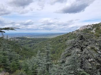 Trail Walking Lagnes - SityTrail - 2022-04-07_18h36m42_lagnes-et-le-mur-de-la-peste - Photo