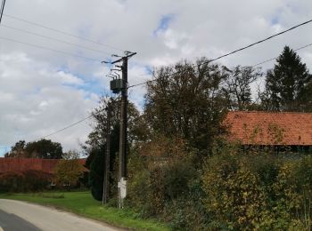 Tocht Stappen Blangerval-Blangermont - Blangermont  - Photo