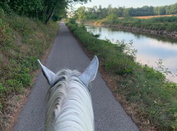 Trail Horseback riding Lépanges-sur-Vologne - La Hauta Verrière - Uxegney - Photo
