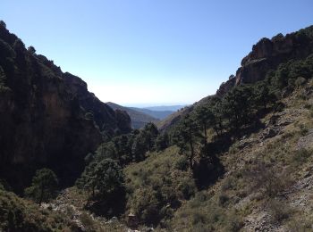 Randonnée A pied Canillas de Aceituno - Sendero El Saltillo - Photo