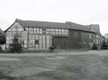 Tocht Te voet Hörselberg-Hainich - DE-gelber Balken - Photo