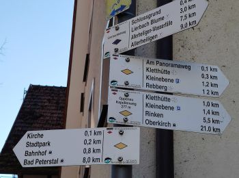 Excursión A pie Bad Peterstal-Griesbach - Breitenberg-Maisach-Oppenau - Photo