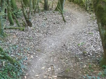 Trail Walking Mercurey - Touches(Mercurey) Mellecey Aluze  Touches  - Photo