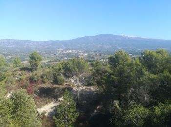 Tour Wandern Mormoiron - les hameaux des limons - Photo