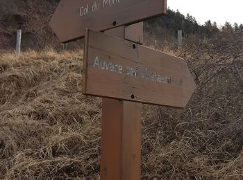Tour Wandern La Croix-sur-Roudoule - Auvare Mont - Photo
