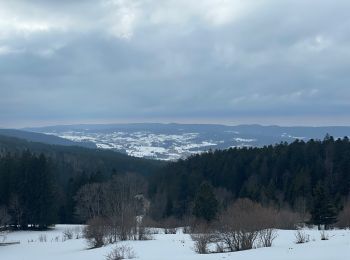 Excursión Raquetas de nieve Métabief - Les hauteurs de Metabief - Photo