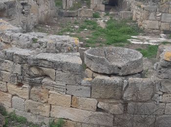 Excursión Senderismo  - Site archéologique de Salamine - Photo