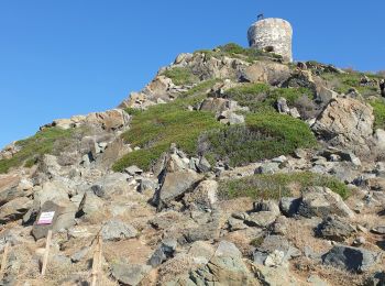 Randonnée Marche Ajaccio - Les iles Sanguinaires. Corse - Photo