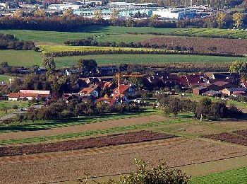 Percorso A piedi Oberstenfeld - DE-8 - Photo