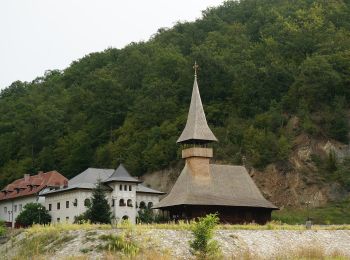 Randonnée A pied Drobeta-Turnu Severin - Traseul ecoturistic Vodița – Dealul Duhovnei - Photo