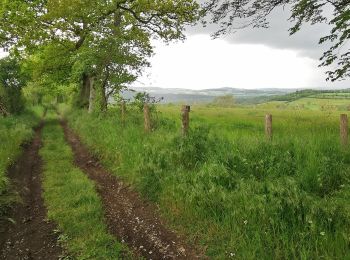 Tocht Stappen Saint-Rémy - Suisse_Normande_#J2_Le_Pont_de_la_Mousse_-_Pont_d'Ouilly - Photo