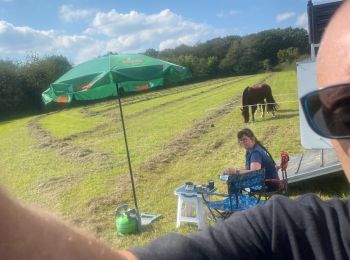 Trail Horseback riding Beauraing - Wancennes-Tanville - Photo