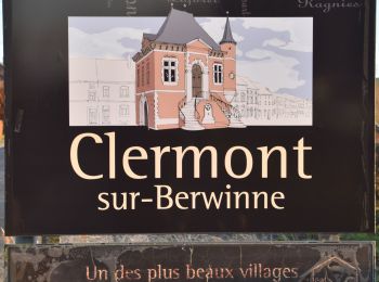 Randonnée Marche Thimister-Clermont - 20220110 - Clermont 8 Km - Photo