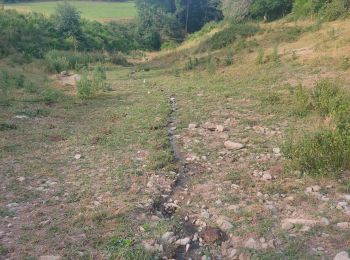 Tocht Trail Bort-les-Orgues - Bort château de val - Photo