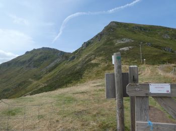 Trail Walking Le Falgoux - 1 : Roche Noire - Roc d'Hozières - Roc des Ombres ; Roche Noire -- 2 : Col Pas de Peyrol - sommet du Puy Mary - boucle  - Photo