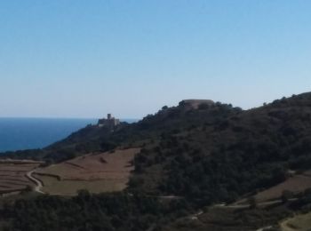 Tour Wandern Collioure - Tour de Madeloc par les cols 15 km 741 m D+ - Photo