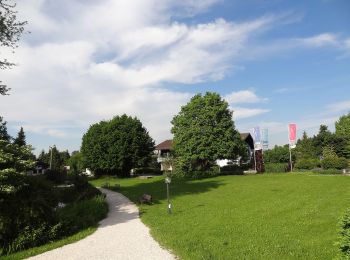 Trail On foot Bad Endorf - Panoramaweg - Bad Endorf - Photo