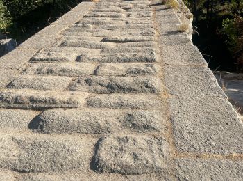 Excursión Ruta Sartène - Rizzanese  - Photo