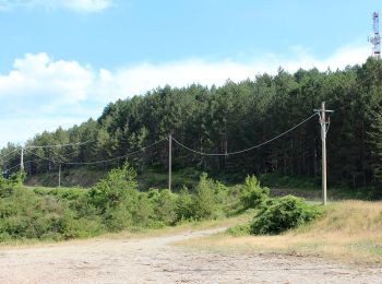 Randonnée A pied Greve in Chianti - IT-32 - Photo