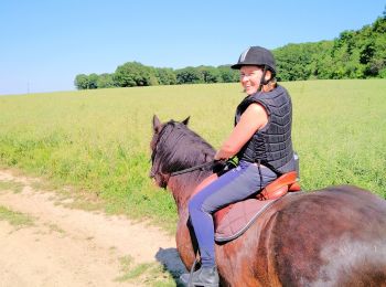 Trail Horseback riding Burthecourt-aux-Chênes - vermois1 - Photo