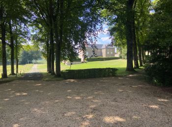 Tocht Stappen Échandelys - Panorama en Livradois-Forez  - Photo