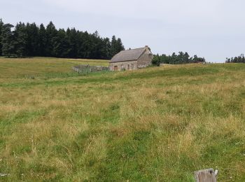 Excursión Senderismo Allanche - balade autour d'Allanche - Photo