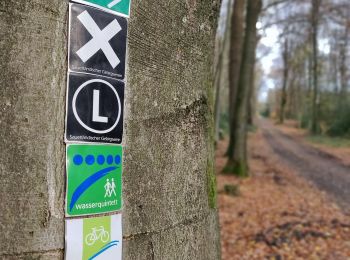 Trail On foot Lindlar - Rundweg A4 (Thier) - Photo