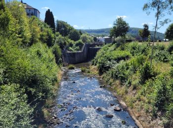 Trail Mountain bike Vielsalm - route n2 - Photo