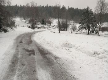 Tocht Stappen Le Tholy - petit tholy trou de l'enfer  - Photo